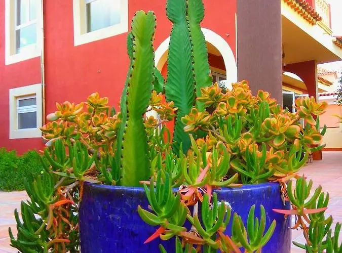 Casa Viera * Buzanada